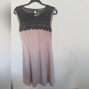 Suzy Shier Womens Dress NWT Size Medium